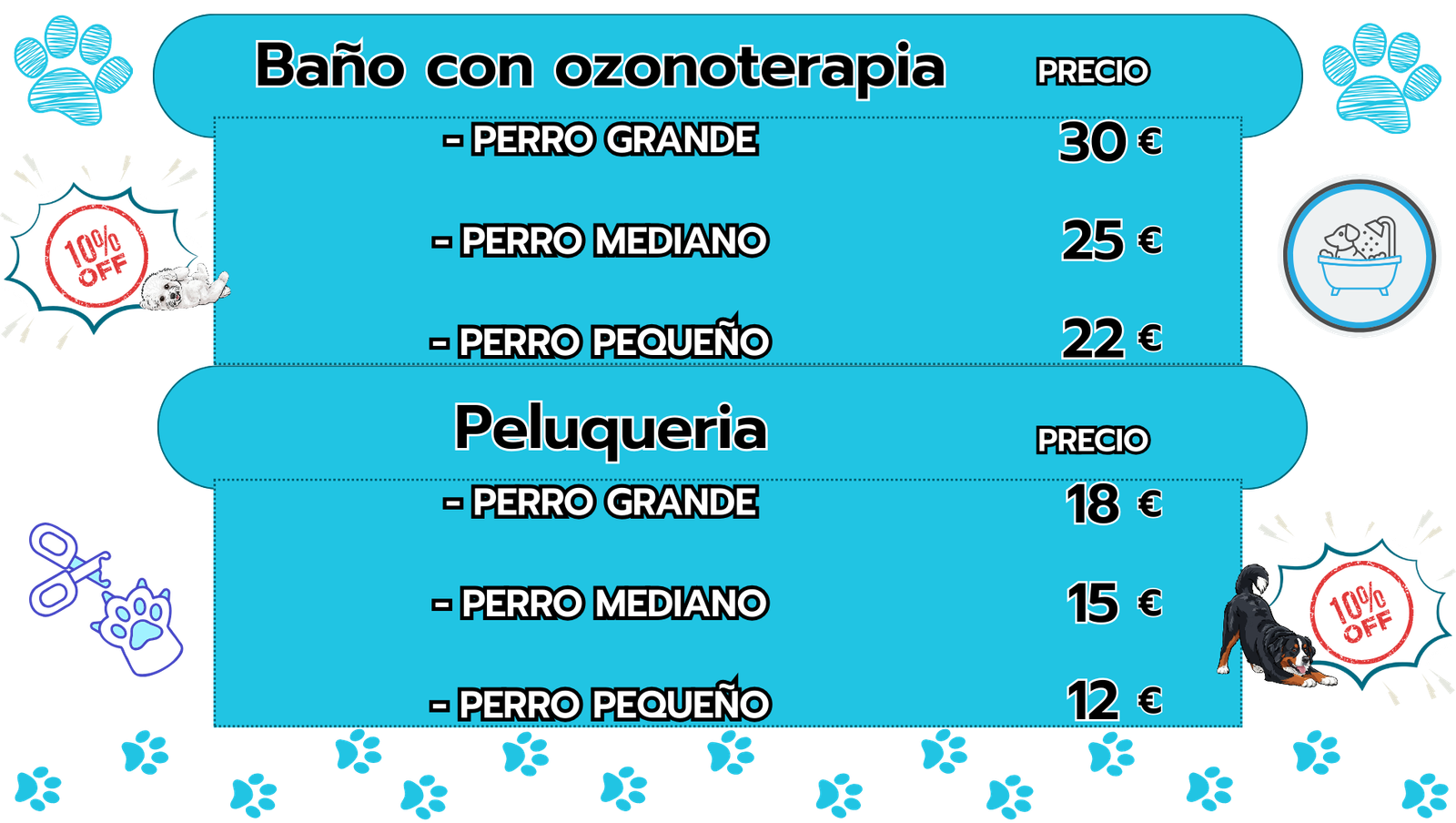 presentación de negocio (25)