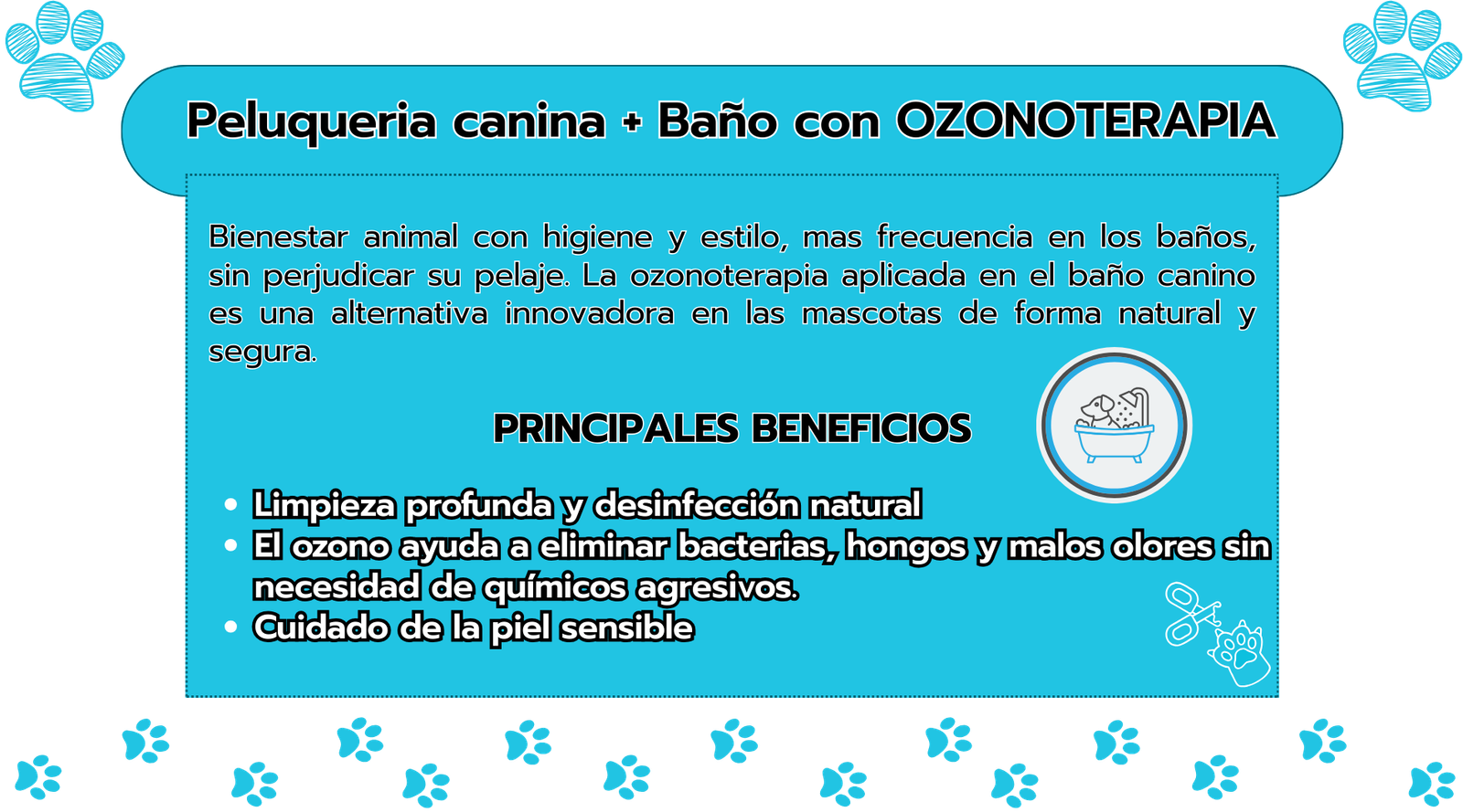 presentación de negocio (33)